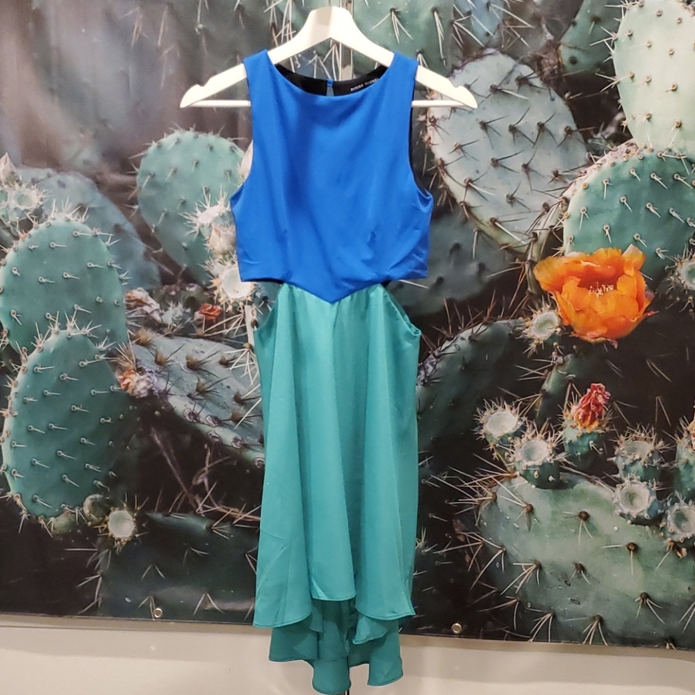 Donna Mizani Cut-out Colorblock Dress